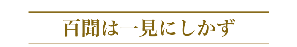 百聞は一見にしかず